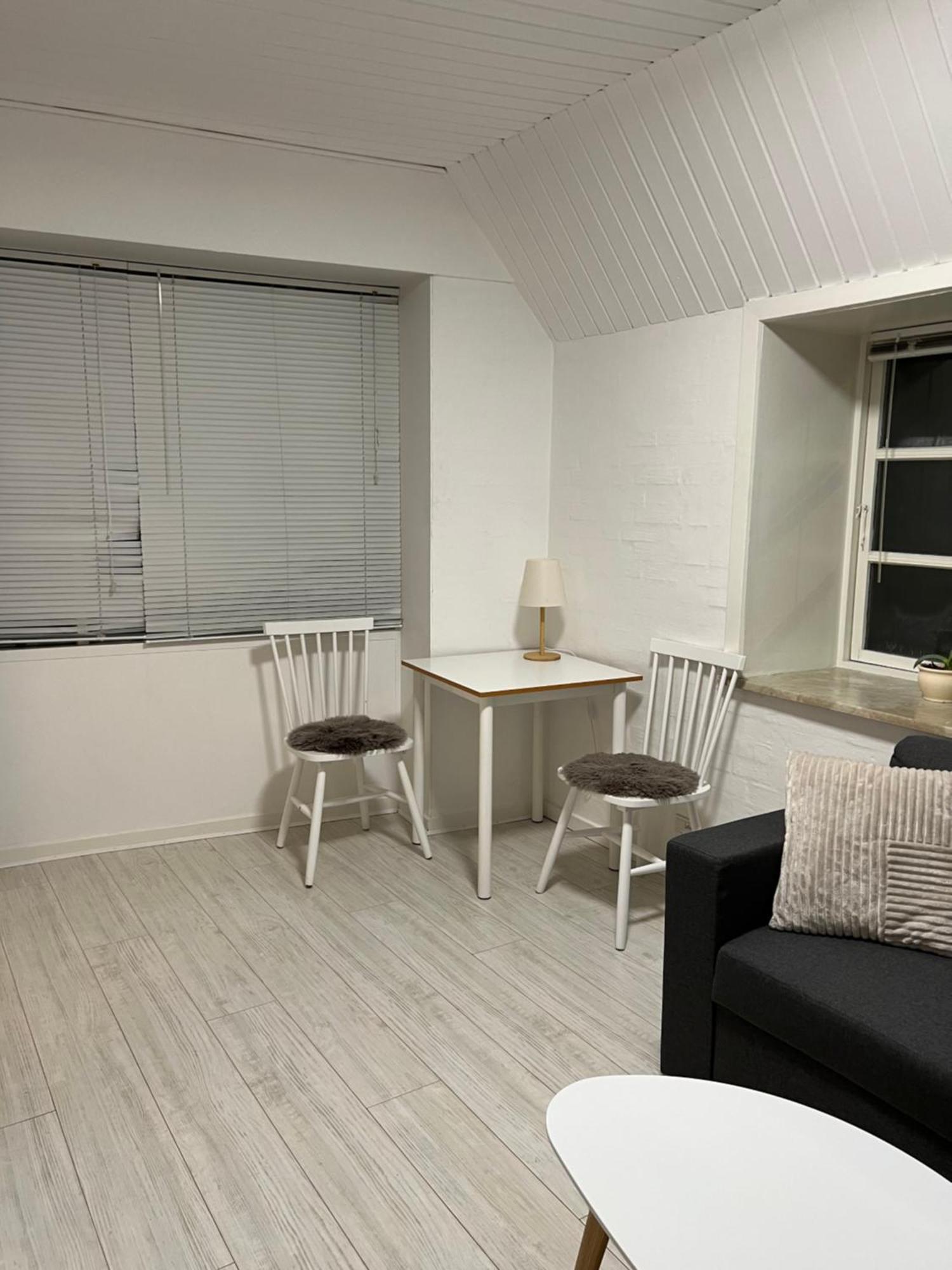 Apartment With Wifi, Close To City Center, Beach And Forrest Aabenraa Exterior photo